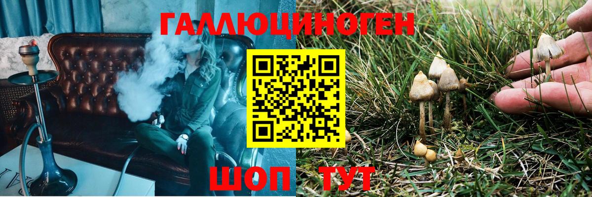 Галлюциногенные грибы MAGIC MUSHROOMS  Псилоцибиновые грибы прущие грибы  Сухой Лог  Вход с VPN 